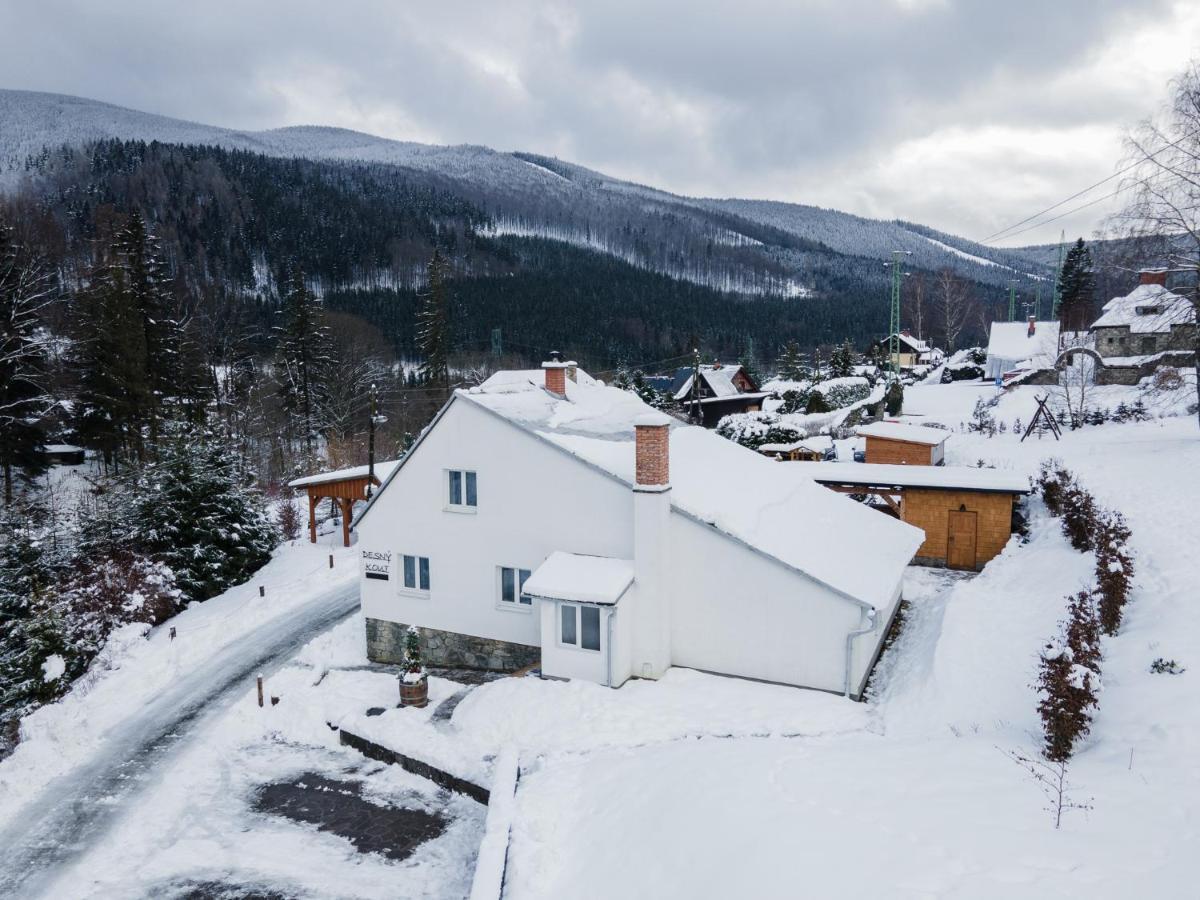Desny Kout Villa Kouty Bagian luar foto